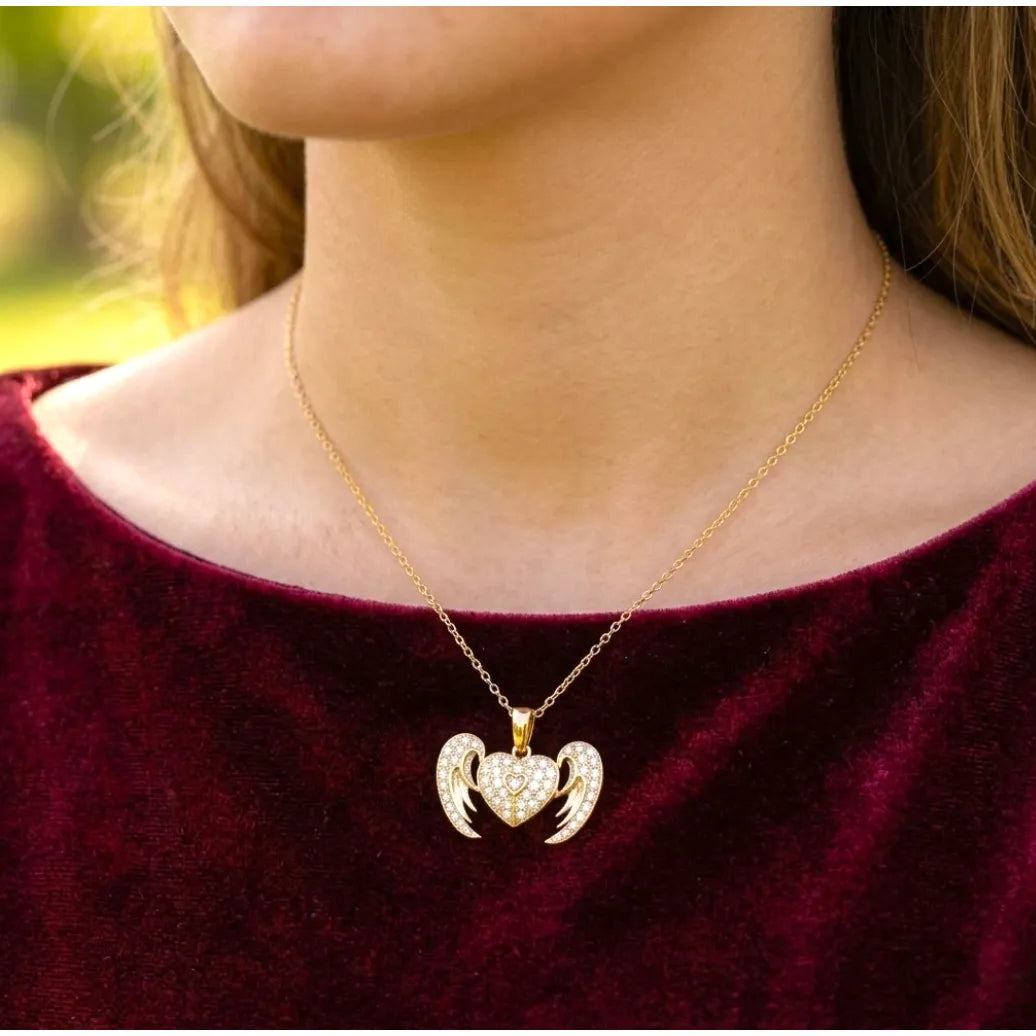 heart guardian (2)